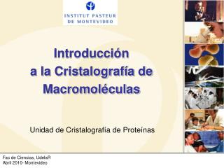 Introducci ón a la Cristalografía de Macromoléculas