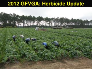 2012 GFVGA: Herbicide Update