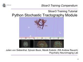 Slicer3 Training Tutorial Python Stochastic Tractography Module