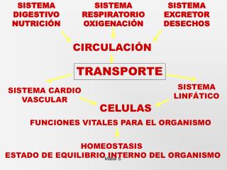 SISTEMA DIGESTIVO NUTRICIÓN