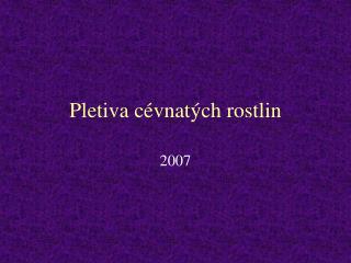 Pletiva cévnatých rostlin