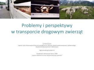 Problemy i perspektywy w transporcie drogowym zwierząt