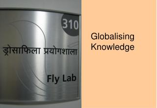 Globalising Knowledge