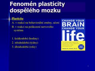 Fenomén plasticity dospělého mozku