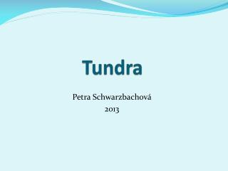 Tundra