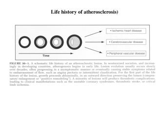 Life history of atherosclerosis)