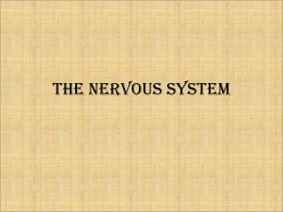 The Nervous System