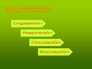 Nutrición