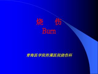 烧 伤 Burn 青海医学院附属医院烧伤科