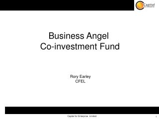 Business Angel Co-investment Fund