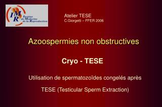 Azoospermies non obstructives