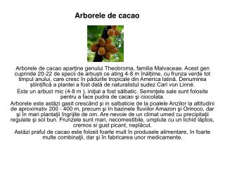 Arborele de cacao
