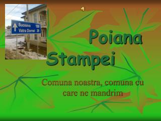 Poiana Stampei