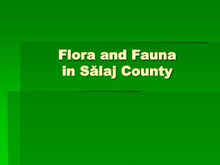 Flora and Fauna in Sălaj County