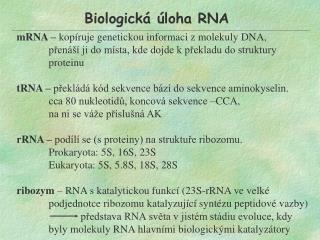 mRNA – kopíruje genetickou informaci z molekuly DNA,
