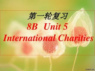 第一轮复习 8B Unit 5 International Charities