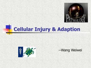 Cellular Injury &amp; Adaption
