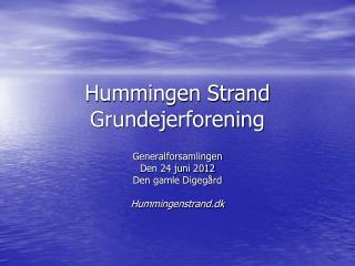 Hummingen Strand Grundejerforening