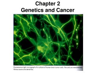 Chapter 2 G enetics and Cancer