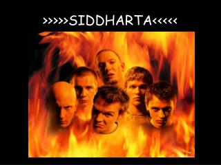 &gt;&gt;&gt;&gt;&gt;SIDDHARTA&lt;&lt;&lt;&lt;&lt;