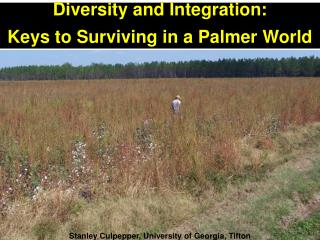 Diversity and Integration: Keys to Surviving in a Palmer World