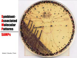 S ymbiont- A ssociated M olecular P atterns