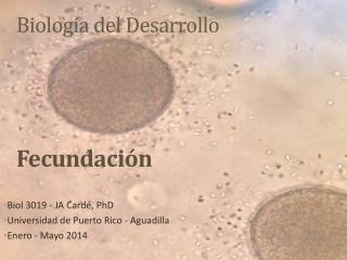 Biología del Desarrollo Fecundación