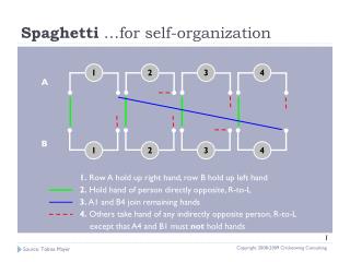 Spaghetti …for self-organization