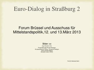 Euro-Dialog in Straßburg 2