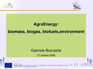 AgroEnergy: biomass, biogas, biofuels,environment Gabriele Boccasile 27 ottobre 2008