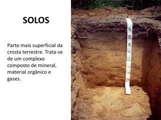 SOLOS
