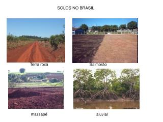 SOLOS NO BRASIL