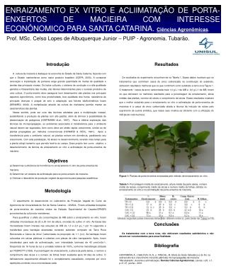 Prof. MSc. Celso Lopes de Albuquerque Junior – PUIP - Agronomia. Tubarão.