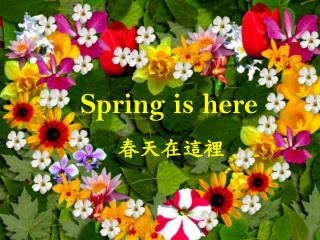 Spring is here