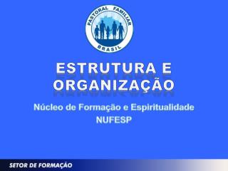 ESTRUTURA E ORGANIZAÇÃO