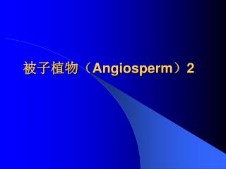 被子植物（ Angiosperm ） 2