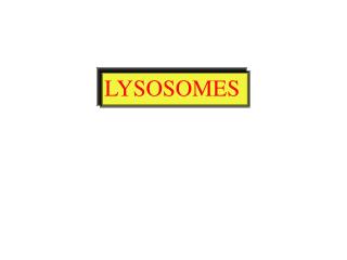 LYSOSOMES