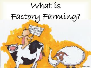What is F actory F arming?