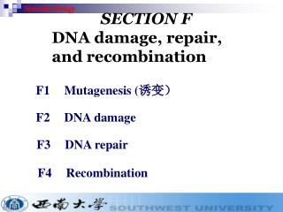 Molecular Biology