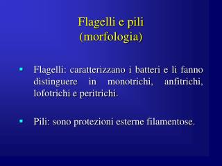 Flagelli e pili (morfologia)