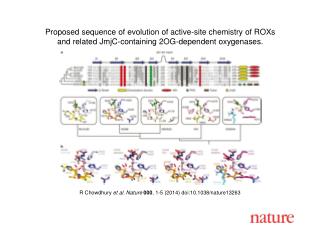 R Chowdhury et al. Nature 000 , 1-5 (2014) doi:10.1038/nature13263