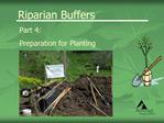 Riparian Buffers