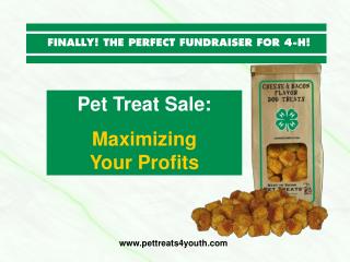 Pet Treat Sale: Maximizing Your Profits