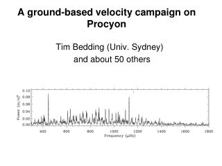 A ground-based velocity campaign on Procyon
