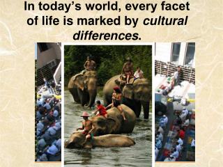 In today’s world, every facet of life is marked by cultural differences .