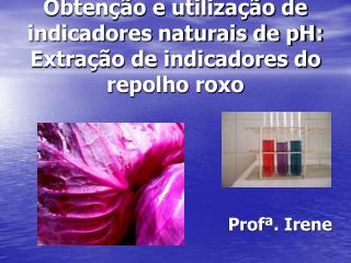 Obtenção e utilização de indicadores naturais de pH: Extração de indicadores do repolho roxo