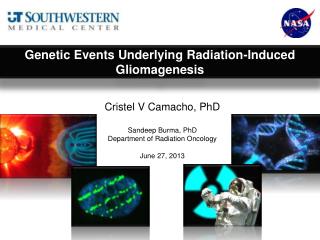 Cristel V Camacho, PhD Sandeep Burma, PhD Department of Radiation Oncology June 27, 2013