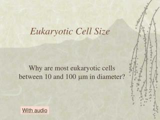 Eukaryotic Cell Size