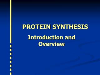 PROTEIN SYNTHESIS Introduction and Overview