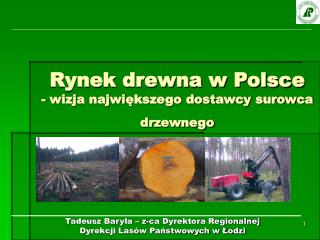 Rynek drewna w Polsce - wizja największego dostawcy surowca drzewnego